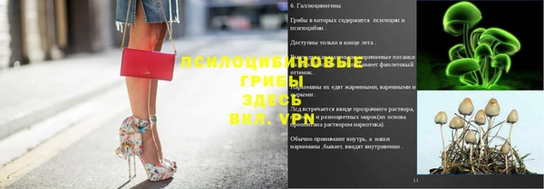 spice Арсеньев