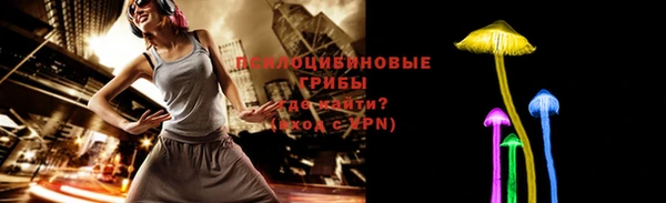 spice Арсеньев