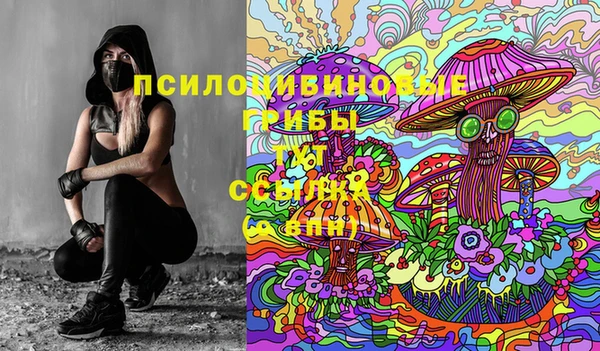 бошки Армянск