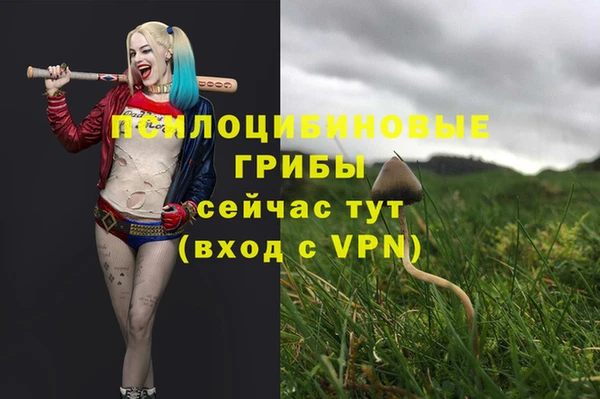 spice Арсеньев
