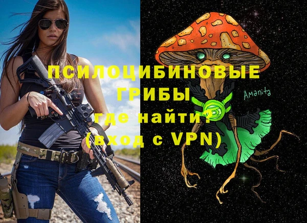 бошки Армянск