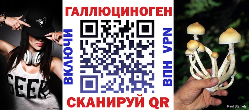 где можно купить наркотик  Бакал  Псилоцибиновые грибы Psilocybine cubensis 