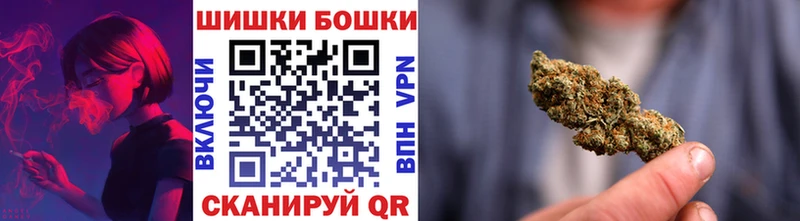 Каннабис планчик  даркнет сайт  Бакал 